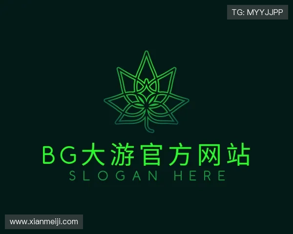 了解BG大游官方网站